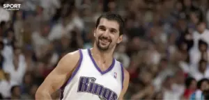 peja stojakovic